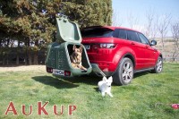 Hundebox  Towbox Dog V2 Anhngerkupplung AHK grn