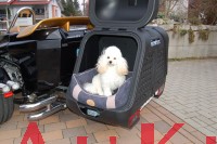 Hundebox  Towbox Dog V2 Anhngerkupplung AHK grn