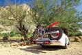 Motorradträger auf AHK 75 kg für Kleinkraftrad, Roller, Trial