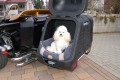 Hundebox fr Trike auf Anhngerkupplung AHK