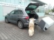 Gepckbox V3 Anhngerkupplung Grau auf AHK VW Tiguan